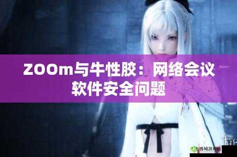 Zoom 与牛性胶 ZOOm 区别：深度剖析对比