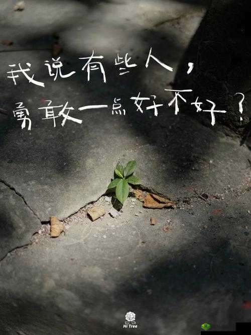 我们站着再来一次好不：勇敢的挑战
